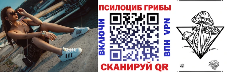 Псилоцибиновые грибы Psilocybe  Торопец 